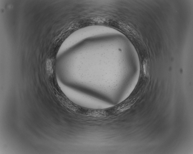 X0000086111347200704091408