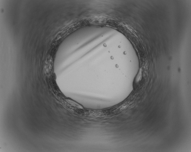 X0000086111349200704091408