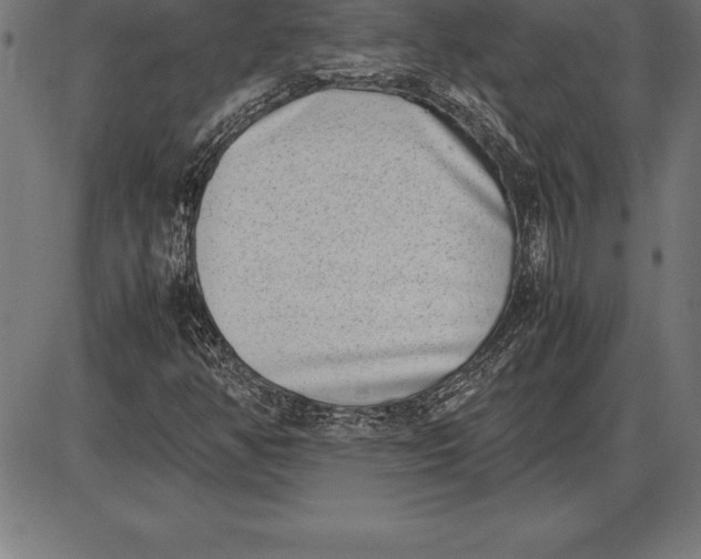 X0000086111350200704091408