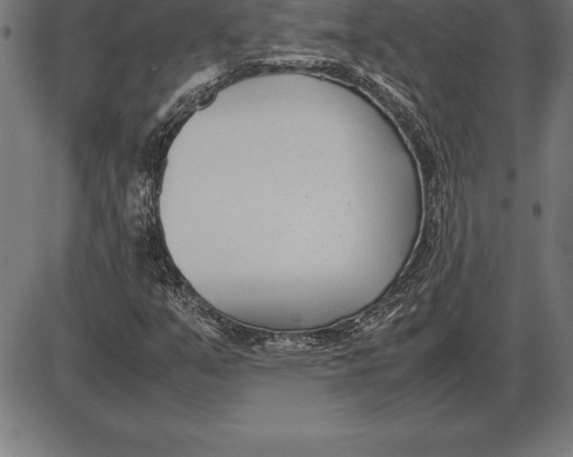 X0000086111351200704091408