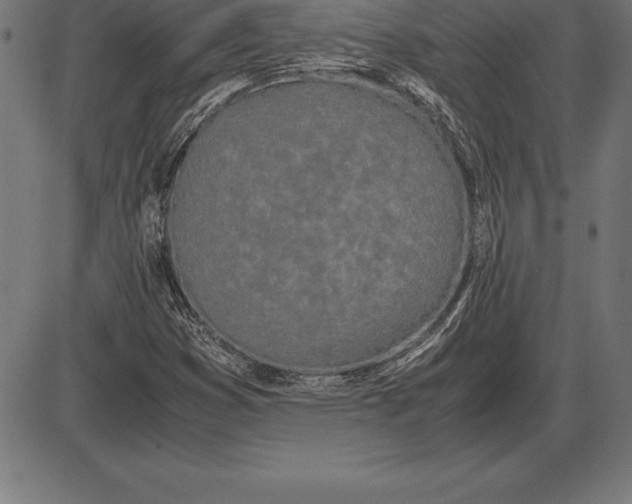 X0000086111353200704091408