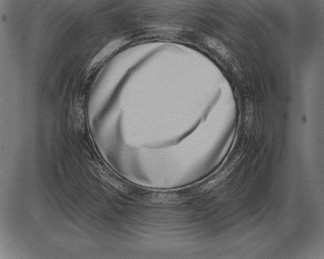 X0000086111354200704091407