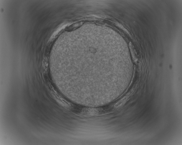 X0000086111355200704091407