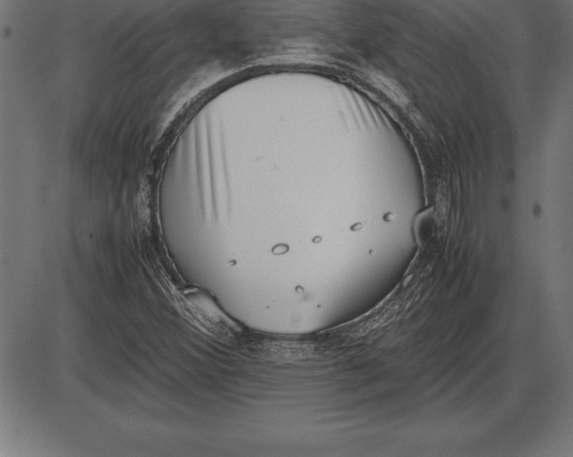 X0000086111356200704091407