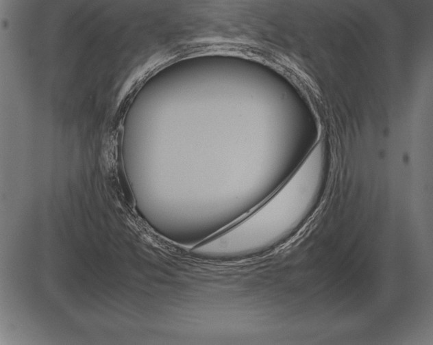 X0000086111357200704091407