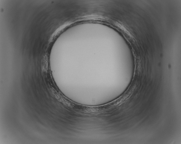 X0000086111358200704091407