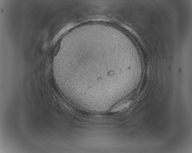 X0000086111359200704091407