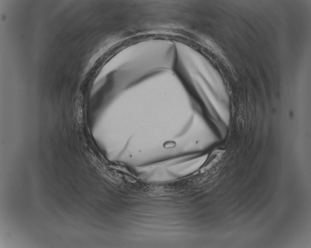 X0000086111360200704091407