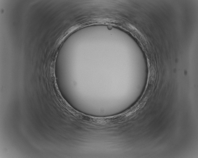 X0000086111361200704091407