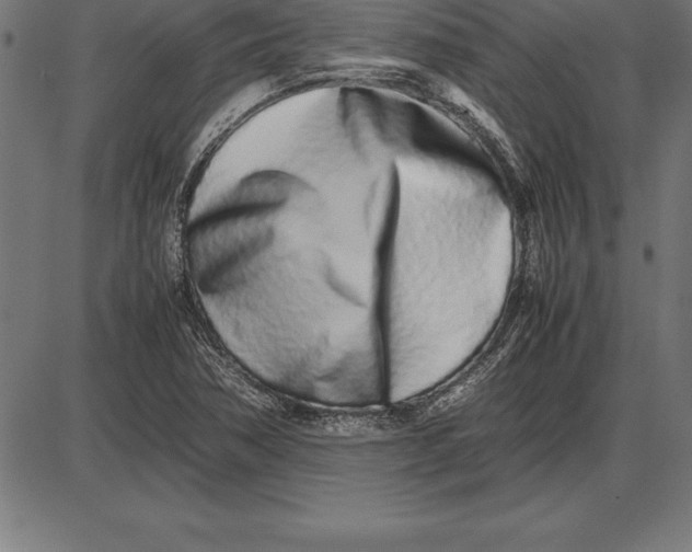 X0000086111362200704091407