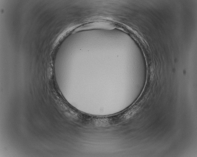 X0000086111363200704091407