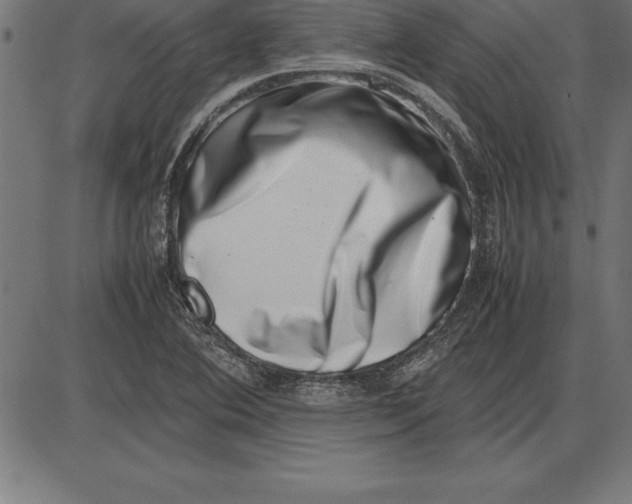 X0000086111364200704091407