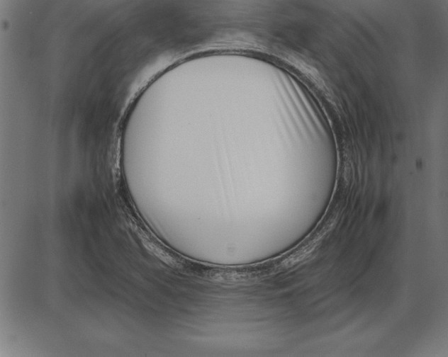 X0000086111366200704091407