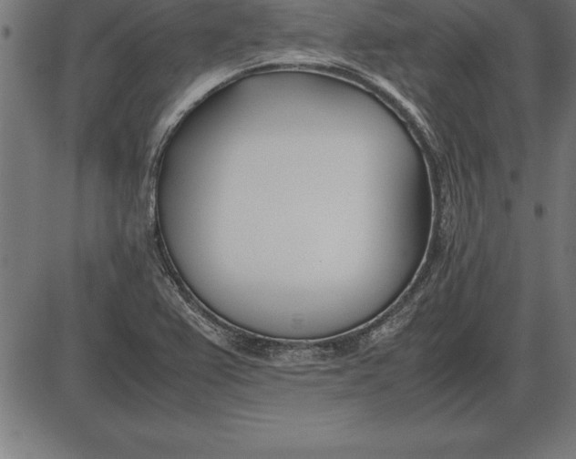 X0000086111367200704091407