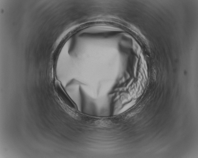 X0000086111368200704091407