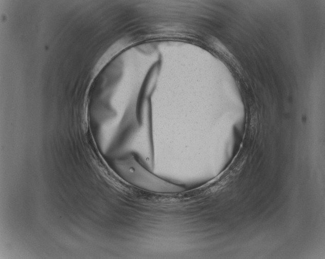 X0000086111370200704091407