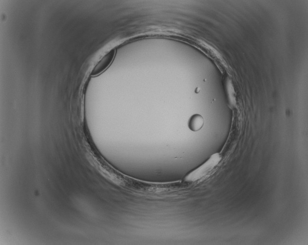 X0000086111371200704091407