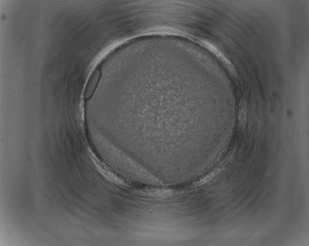 X0000086111372200704091407