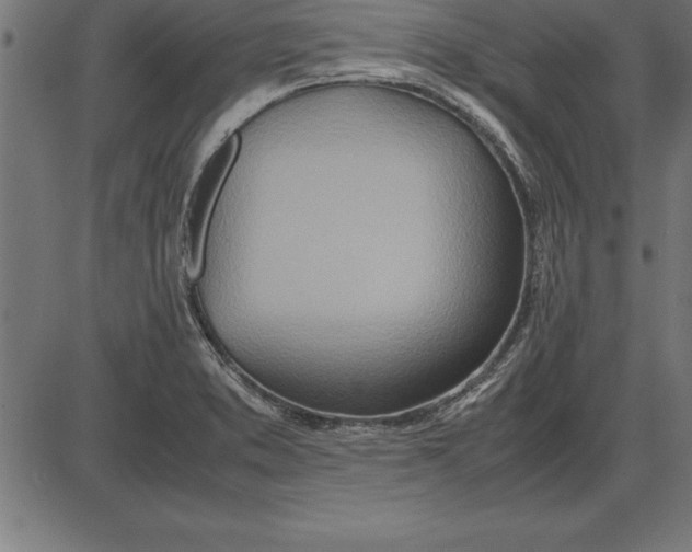 X0000086111373200704091407