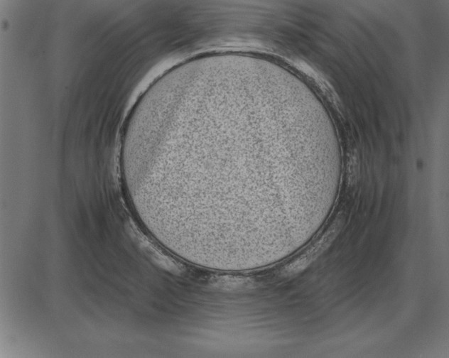 X0000086111374200704091407