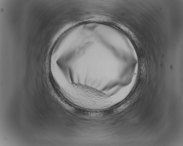 X0000086111375200704091407