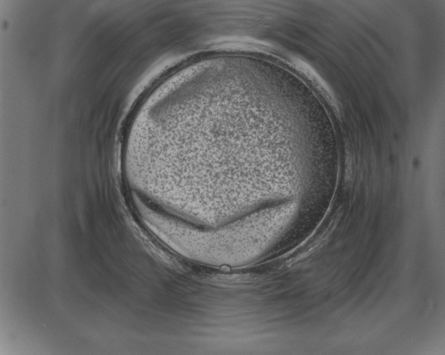 X0000086111376200704091407