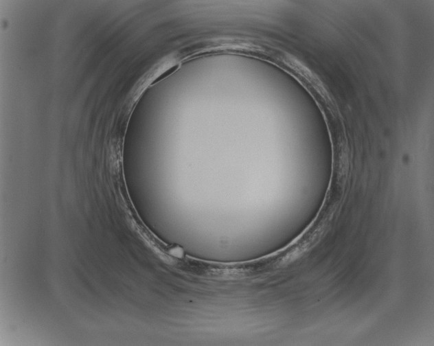 X0000086111377200704091407