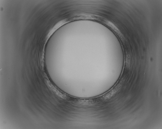 X0000086111378200704091407