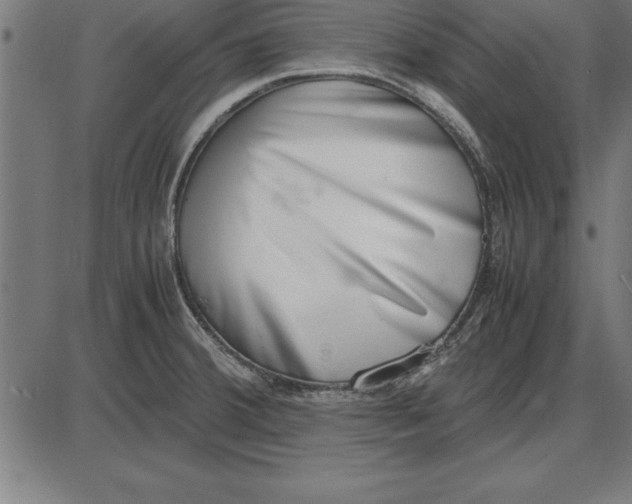 X0000086111380200704091407