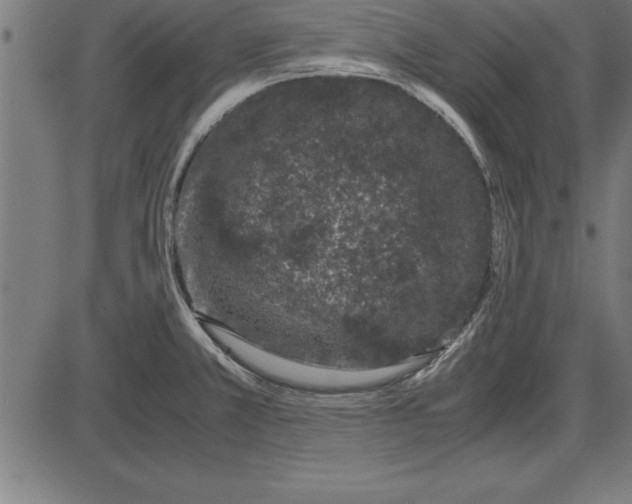 X0000086111381200704091407