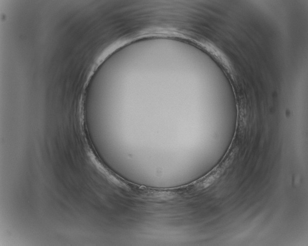 X0000086111382200704091407