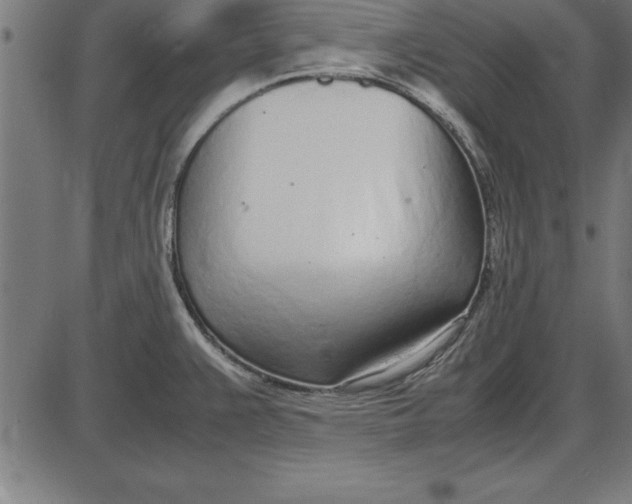 X0000086111383200704091407