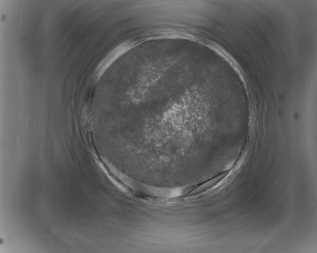 X0000086111385200704091407