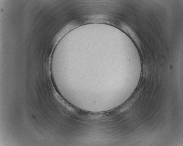 X0000086111386200704091407