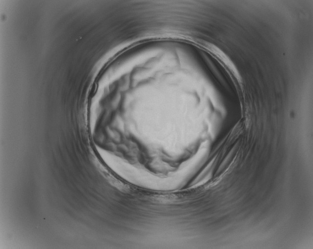 X0000086111388200704091407