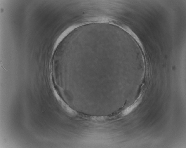 X0000086111389200704091407