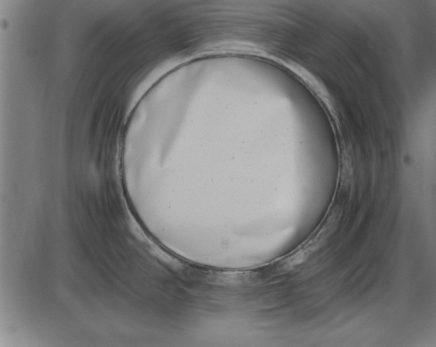 X0000086111390200704091407