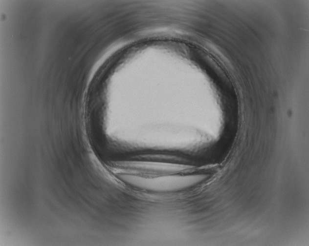 X0000086111392200704091407