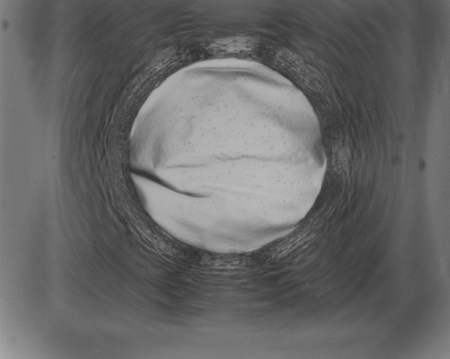 X0000086111393200704091406