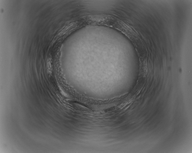 X0000086111394200704091406