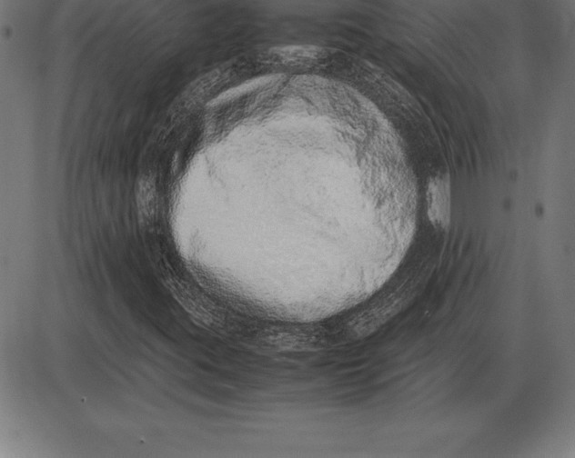 X0000086111395200704091406