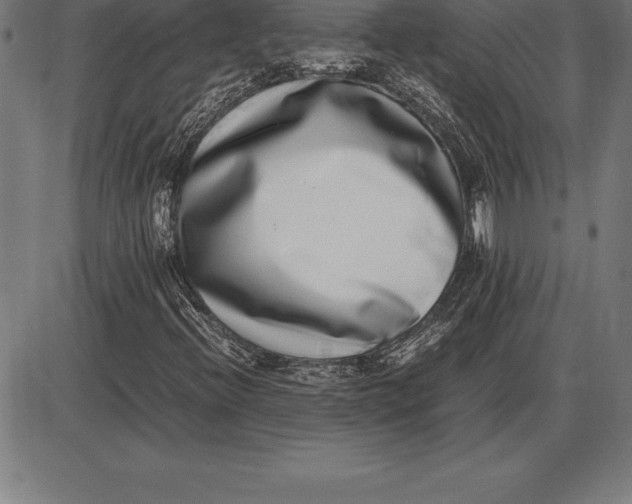 X0000086111396200704091406