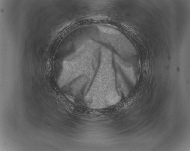 X0000086111398200704091406