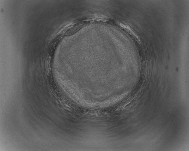 X0000086111399200704091406