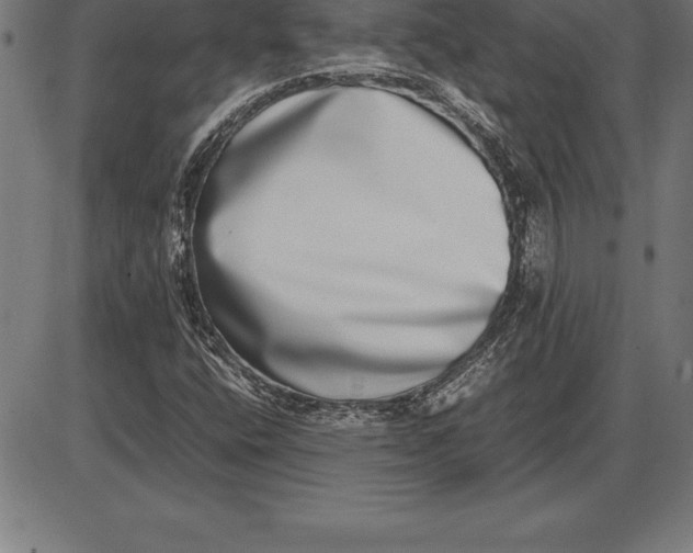 X0000086111400200704091406