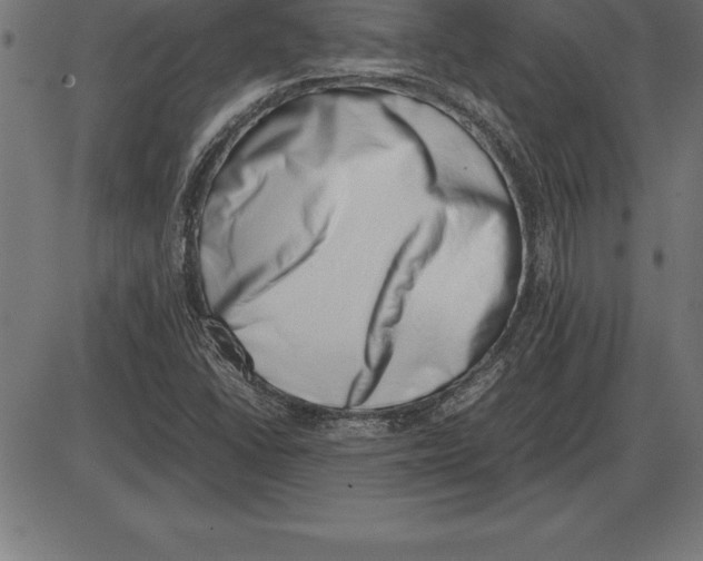 X0000086111406200704091406