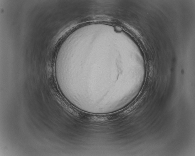 X0000086111407200704091406