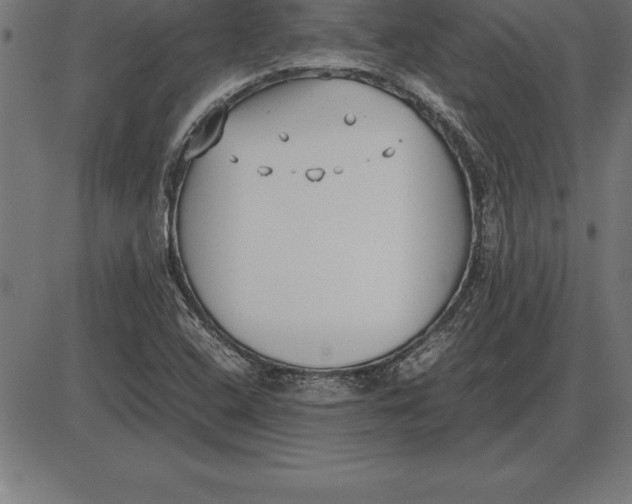 X0000086111408200704091406