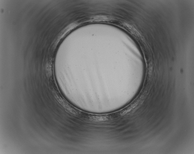 X0000086111409200704091406