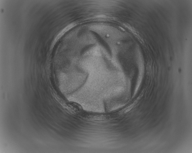 X0000086111410200704091406